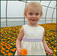 Toddler with white dress in greenhouse full of flowers