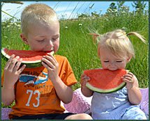 Two children enjoying watermelons