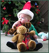 baby sits with teddy bear under Christmas tree