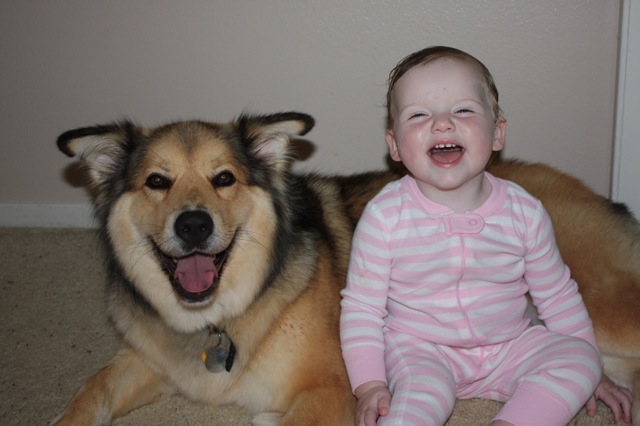 Giggling baby girl and her dog